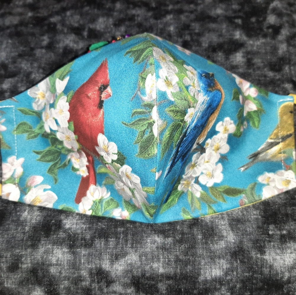 Bird face mask